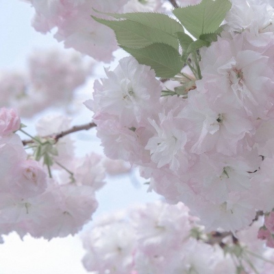 宜丰FurryQQ群介绍